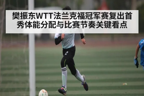 樊振东WTT法兰克福冠军赛复出首秀体能分配与比赛节奏关键看点 - c7c7.vip，c7c7.app