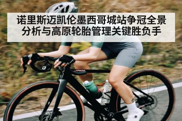 诺里斯迈凯伦墨西哥城站争冠全景分析与高原轮胎管理关键胜负手 - c7c7.vip，c7c7.app